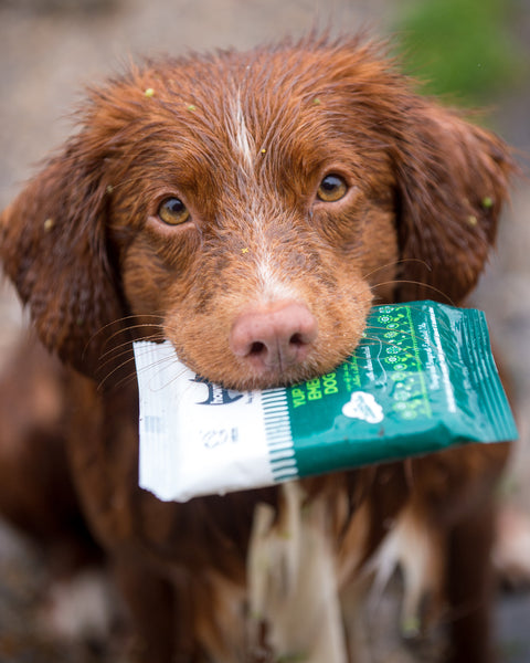 Yup You Stink! Emergency Dog Wipes