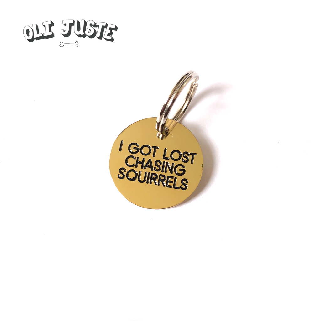 "Chasing Squirrels" Brass ID Tag