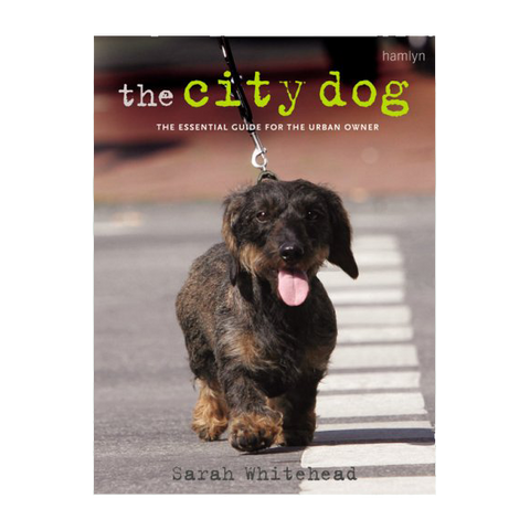 The City Dog Book (Paperback)