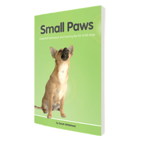 Small Paws