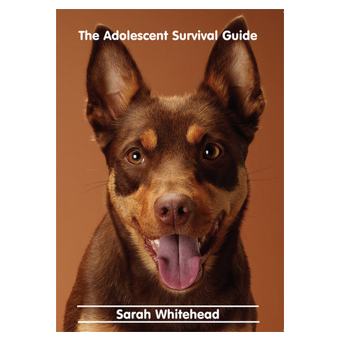 Adolescent Dog Survival Guide