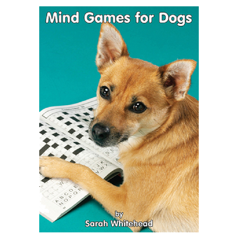 Mind Games For Dogs
