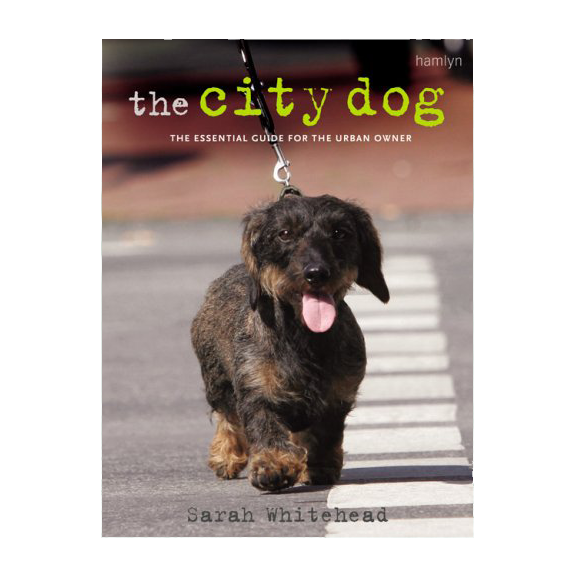 The City Dog Book (Paperback)